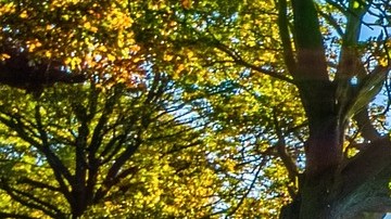 ¿Podemos odiar al futuro?