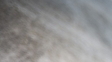 ¿Tú qué tomas en cuenta?