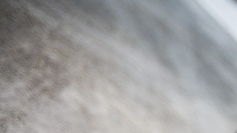 ¿Tú qué tomas en cuenta?