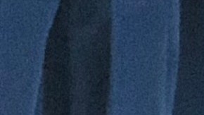 Carla Provost es la primera mujer en liderar la Patrulla Fronteriza en la historia de la agencia.