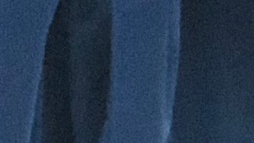 Carla Provost es la primera mujer en liderar la Patrulla Fronteriza en la historia de la agencia.