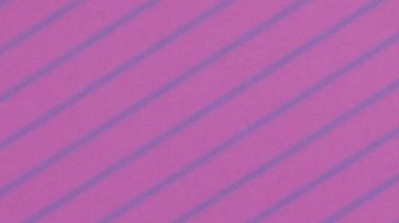 Sebastián Caicedo y Carmen Villalobos