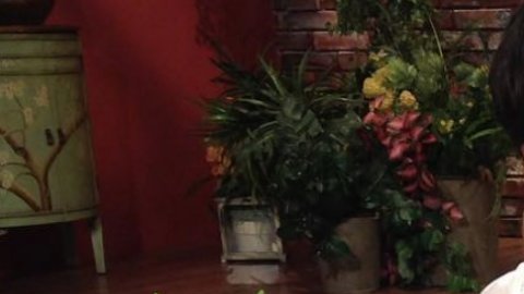 Pati Chapoy