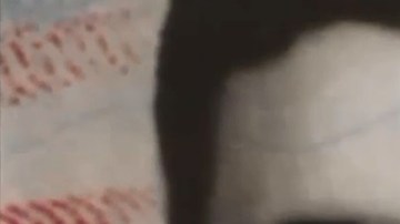 Trevor J. Heitmann, de 18 años.