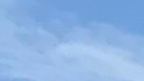 La ecuatoriana Debbie Murcasel-Powell (izq) afronta una lucha cuesta arriba.