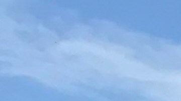 La ecuatoriana Debbie Murcasel-Powell (izq) afronta una lucha cuesta arriba.