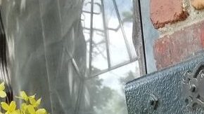 Cualquiera deja una carta en ese buzón.