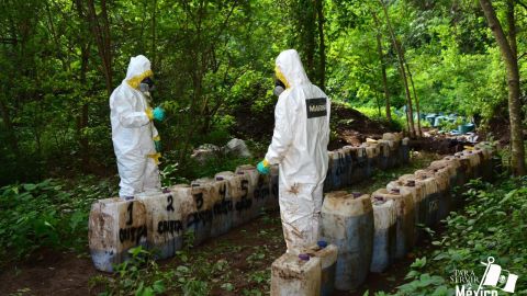 La marina de México decomisa 50 toneladas de drogas en Sinaloa.