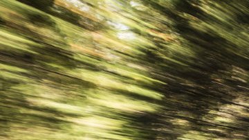 Dodge Journey, entre los afectados