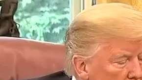 El presidente Trump tardó un poco en comunicarse con Peña Nieto.