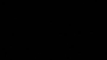 Donald Trump y John McCain.