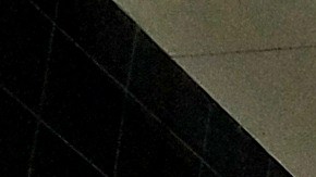 Activistas y Dreamers de "United We Dream" acudieron a la audiencia para apoyar DACA.