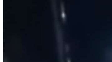 El video circula esta semana en medios como LiveLeak.