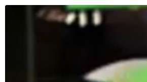 Los conductos para apagar las llamas se activaron de inmediato.