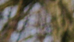 Los millennials piden cambio de sistema. Floris Jan-roelof / UnSplash