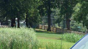 Las pickup, debilidad estadounidense.