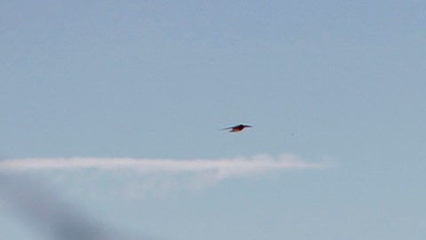 Una línea de gas a alta presión cerca de Lost Hills, California.