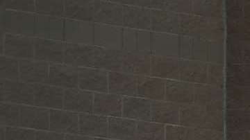 En Ohio, el presidente Trump habló sobre inmigración y recibió ovaciones.