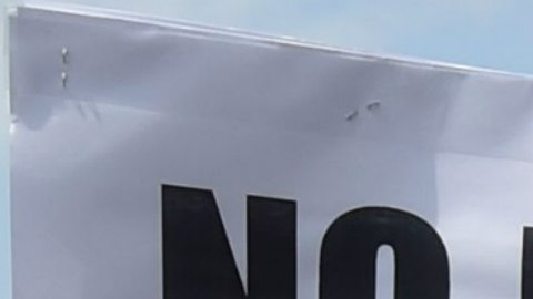 Este fin de semana se cumple un año de la trágicos incidentes de Charlottesville