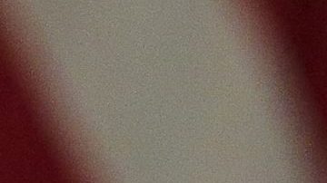 Los sondeos dejan muy mal parado a Trump con miras a las elecciones al Congreso de Noviembre