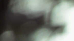 El presidente Trump busca reducir el movimiento contra ICE.