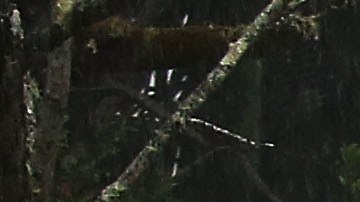 La crecida del río Wailuku River en la Isla Grande de Hawaii.