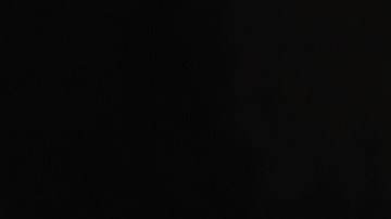 El presidente Donald Trump y su esposa Melania Trump tienen COVID-19. (Getty Images)