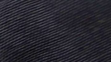 CBP Demonstrates New App For Expedited Passport Control And Customs Screening