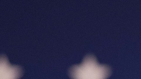 Obama ofreció un combativo discurso contra Trump, e instó a los demócratas a votar en noviembre.