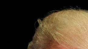 gettyimages-73084315_011 (1)
