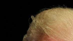 gettyimages-73084315_011 (1)