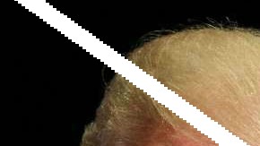 Buenas noticias para las familias inmigrantes reunificadas por el gobierno