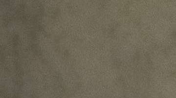 El senador McCain también apoyó una reforma migratoria integral.