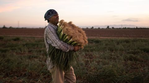 MEXICO-US-CANADA-NAFTA-DAY LABORER