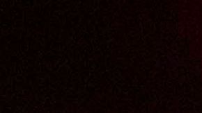 Veruska Ljubisavljevic