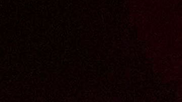 Veruska Ljubisavljevic