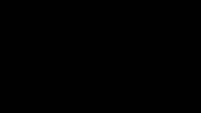 Trump ha optado de que le lean los vitales informes