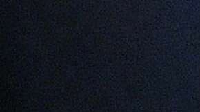 Fuentes cercanas a Melania dijeron que la Primera Dama esta asqueada con la revelación