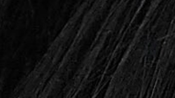 El costo del desfile ascendía a 92 millones de dólares