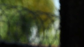 El defensa de Chivas, Hedgardo Marín, sufrió un accidente de auto