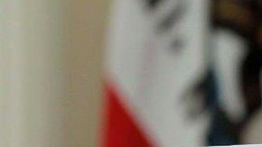 El senador Robert Hertzberg.