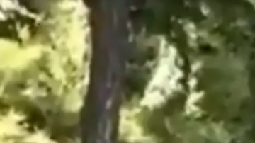 El incidente fue captado en video.