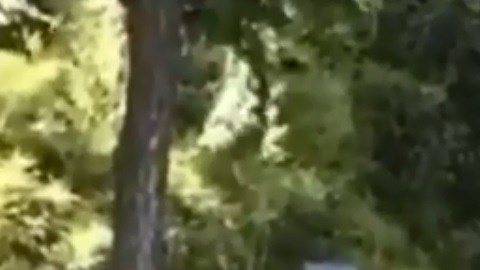 El incidente fue captado en video.