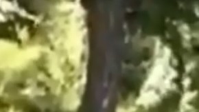 El incidente fue captado en video.