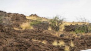 Honda Odyssey LX, el vehículos más barato de asegurar bajo la cobertura completa