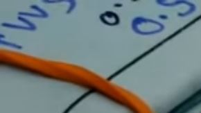 hormiga con diamante