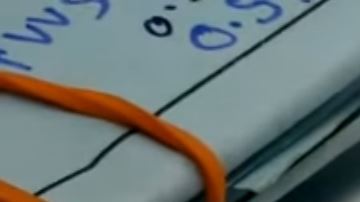 hormiga con diamante