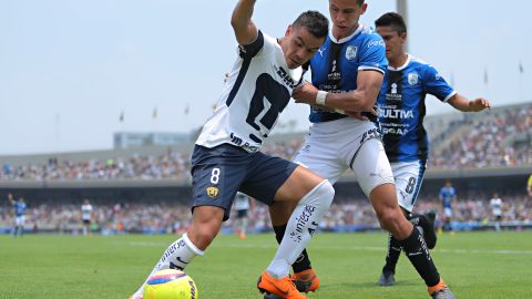 Pumas recibe a Queréraro en duelo correspondiente a la fecha 6 del Apertura 2018