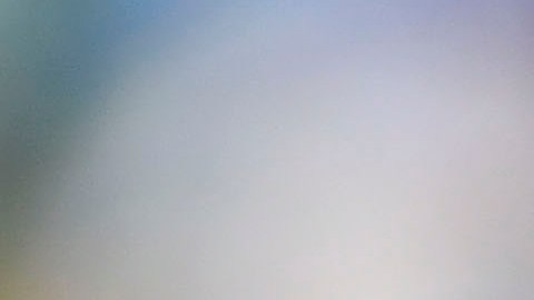 En el Mundial de Rusia 2018, "Chicharito" Hernández se tiñó el cabello