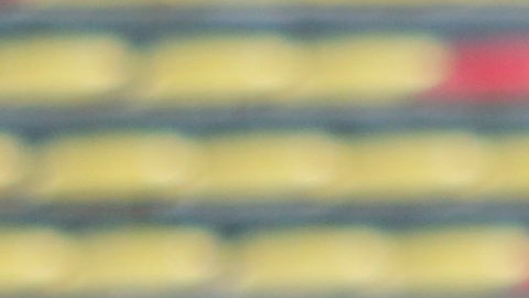 Filadelfo Rangel, técnico del Morelia Femenil